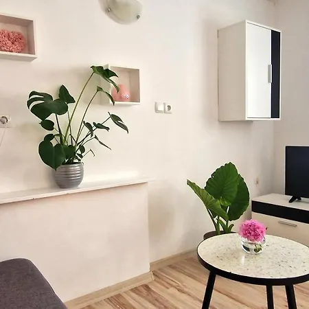 Jagoda Apartment *